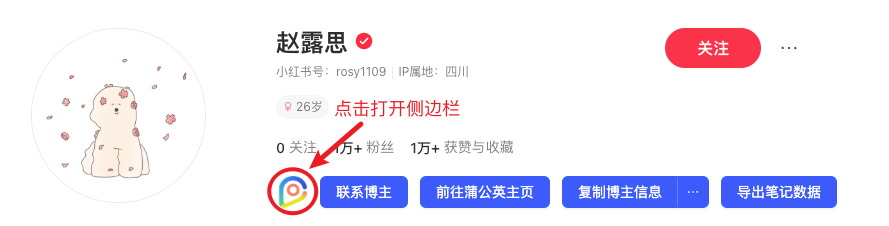 点击页面上的Icon打开侧边栏